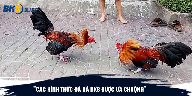 Các hình thức đá gà BK8 được ưa chuộng