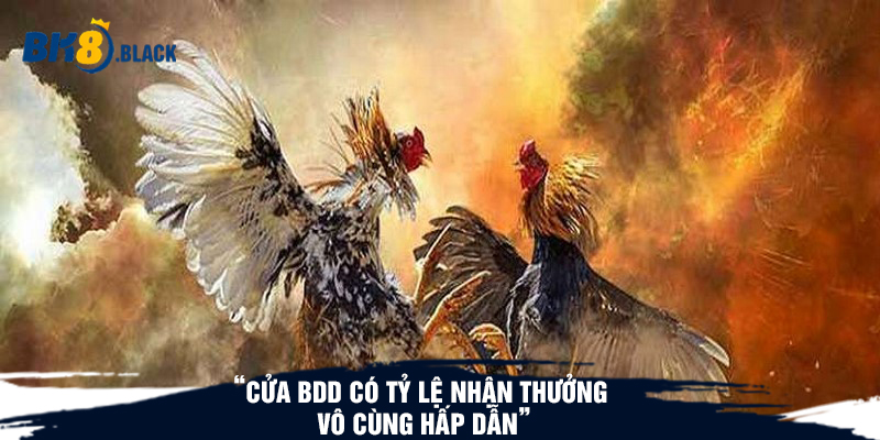 Cửa BDD có tỷ lệ nhận thưởng vô cùng hấp dẫn