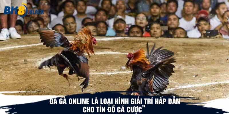 Đá gà online là loại hình giải trí hấp dẫn cho tín đồ cá cược