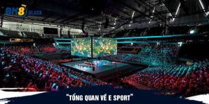 Tổng quan về E sport