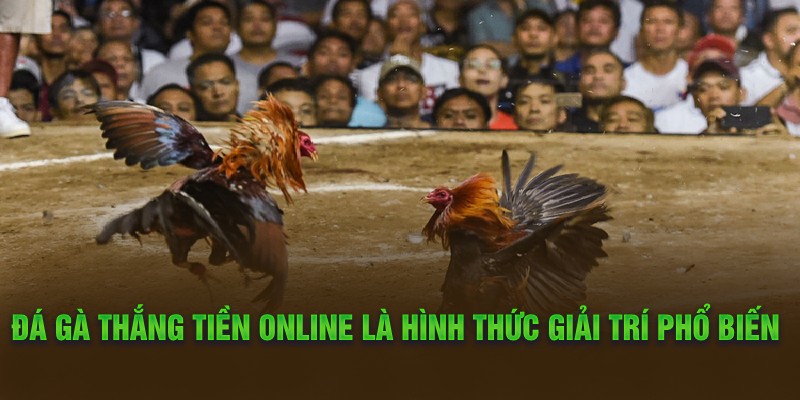 Đá gà thắng tiền online là hình thức giải trí phổ biến 