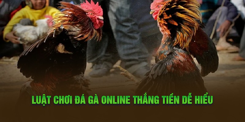 Luật chơi đá gà online thắng tiền dễ hiểu