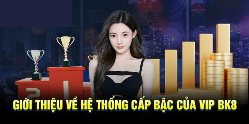 Giới thiệu thống 5 cấp bậc VIP BK8