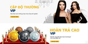 Giới thiệu về hệ thống VIP BK8 