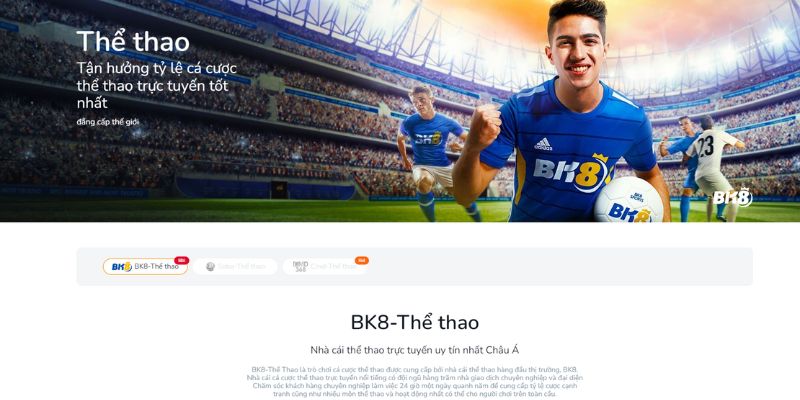 Xuống tiền và đặt cược theo ý mình để chơi